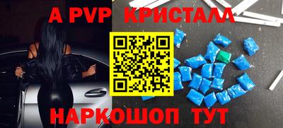 гашик Гусев