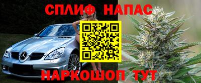 прущие крисы Гусиноозёрск