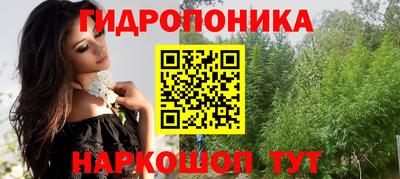 эйфоретик Гусь-Хрустальный