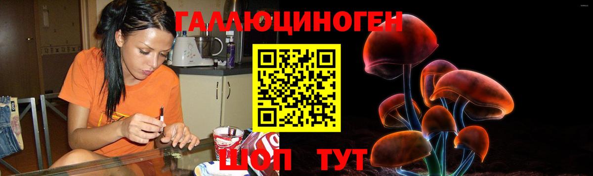 Псилоцибиновые грибы GOLDEN TEACHER  Вход с VPN  Орск  Галлюциногенные грибы Psilocybine cubensis 